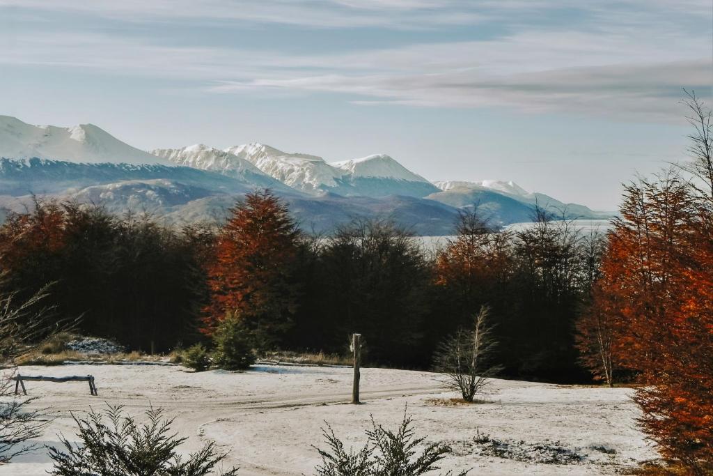 Surrounding environment