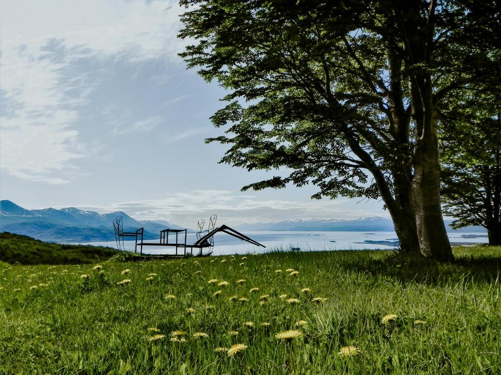 Surrounding environment