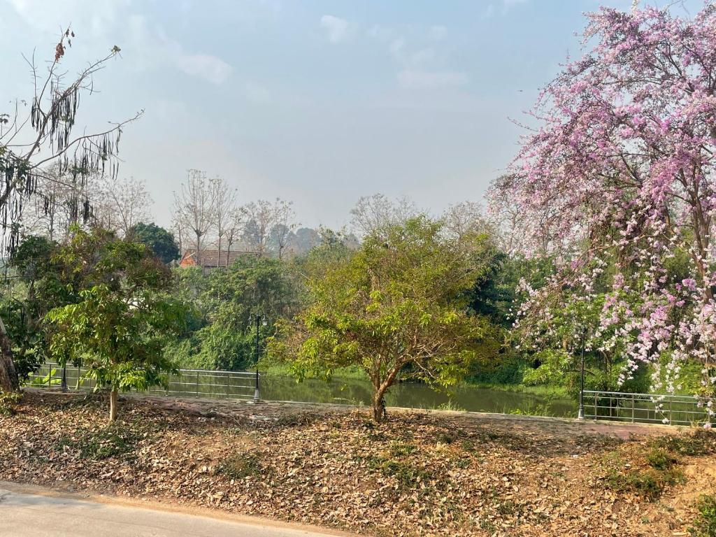 Surrounding environment