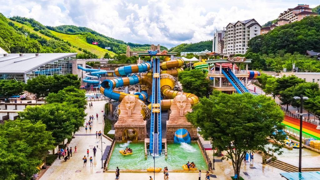 소노캄 비발디파크 객실