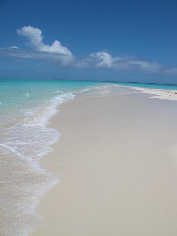 Butiama Marine Camp photo