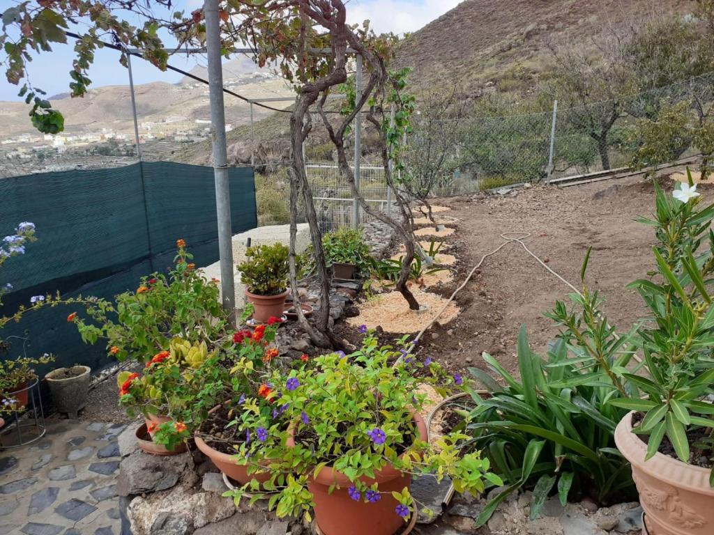 Casa La Fuente - 4
