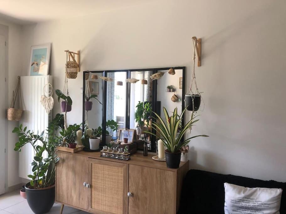 Appartement avec jardin et terrasse couverte - 5