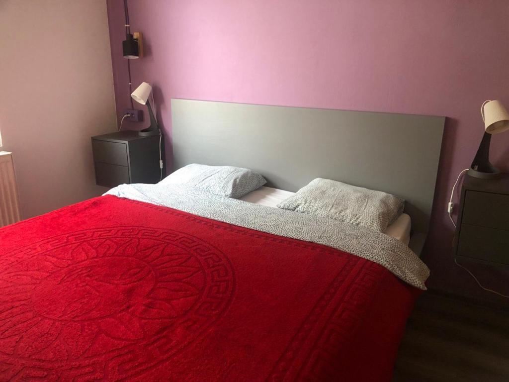 Camelia Apartment - 3