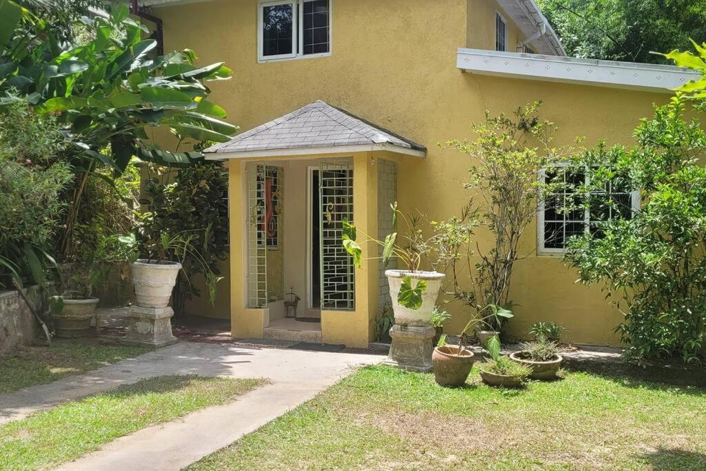 The African Lily, Kingston