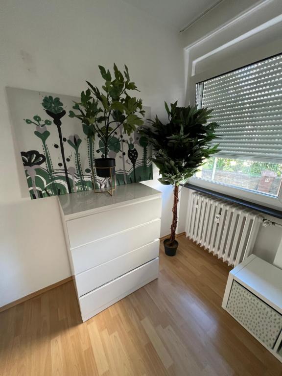 Privatzimmer nähe Residenz und Innenstadt - 2