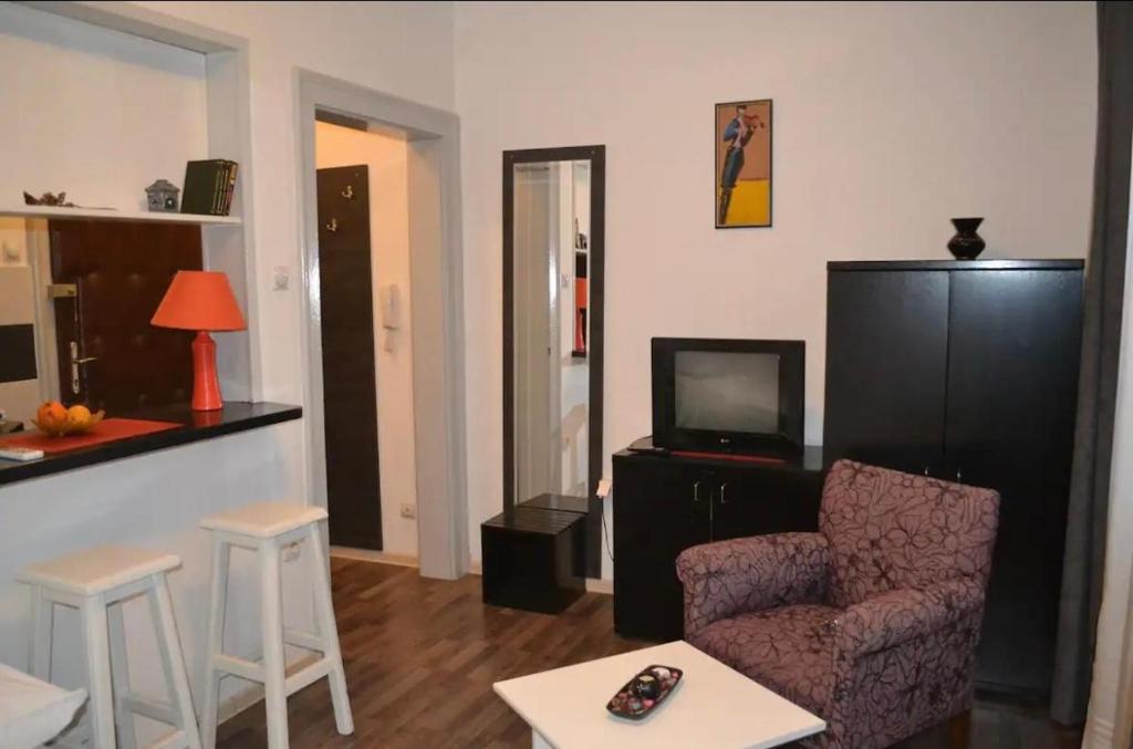 BelgradeCity center-Lekic apart 1 - 1