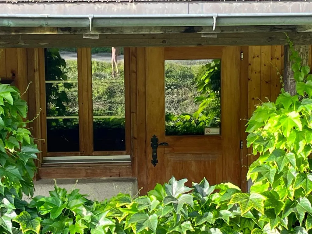 Chalet ALPEN LOTUS, hotel in Innertkirchen