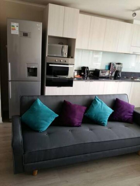 Great apartment in Santiago de Chile, Santiago