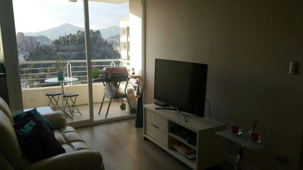 Great apartment in Santiago de Chile - 2