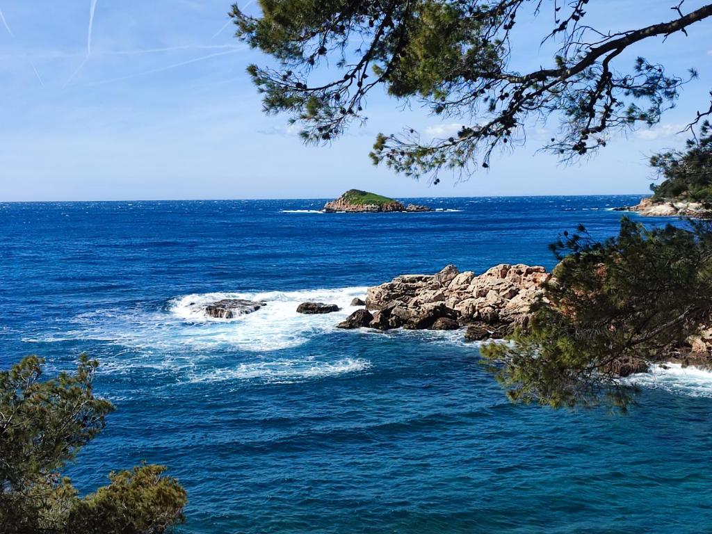 Les lantanas, Bandol