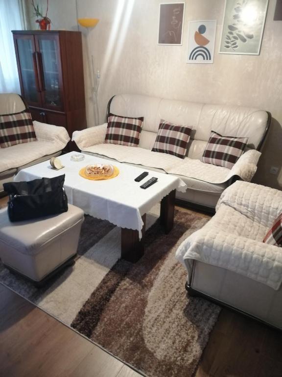 Star Apartment Belgrade - 5