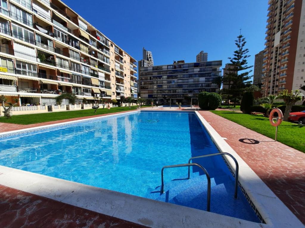 Hannibal 31, Benidorm