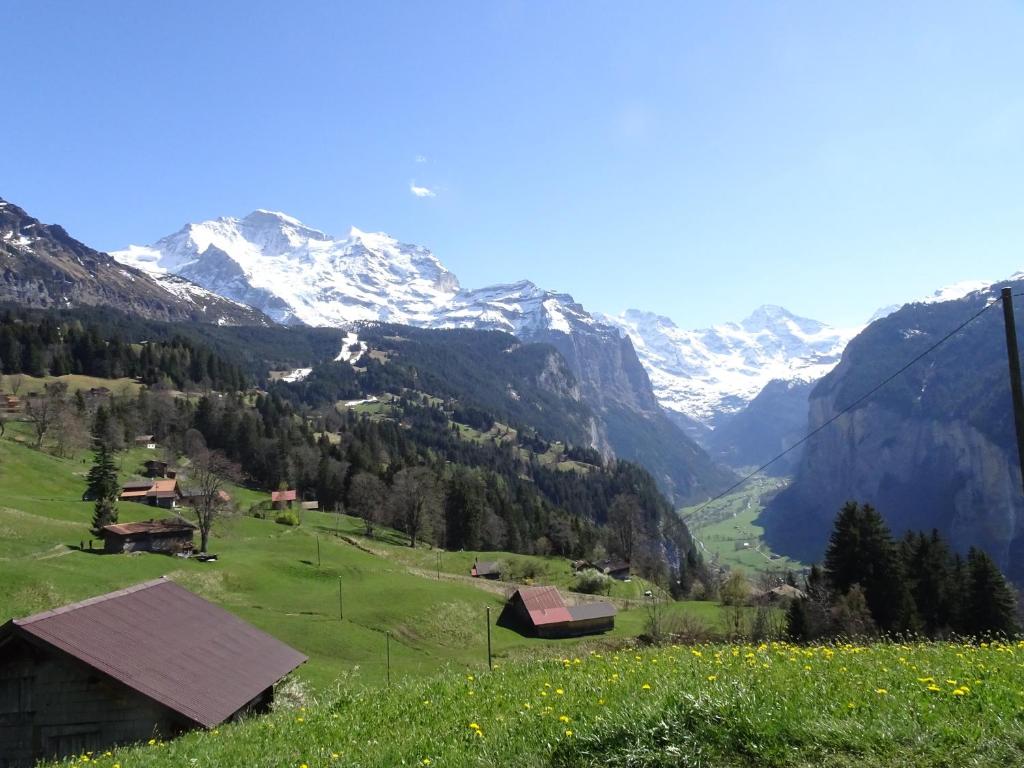 Chalet Alpina Gyger - 5