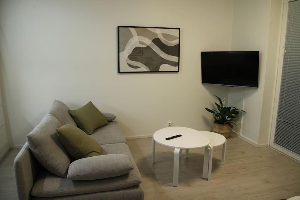 Kodikas hyvin varusteltu yksiö, autopaikalla, Vantaa