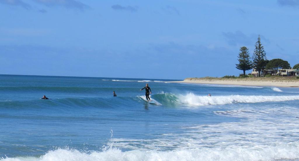 Surf N Stay Whangamata photo