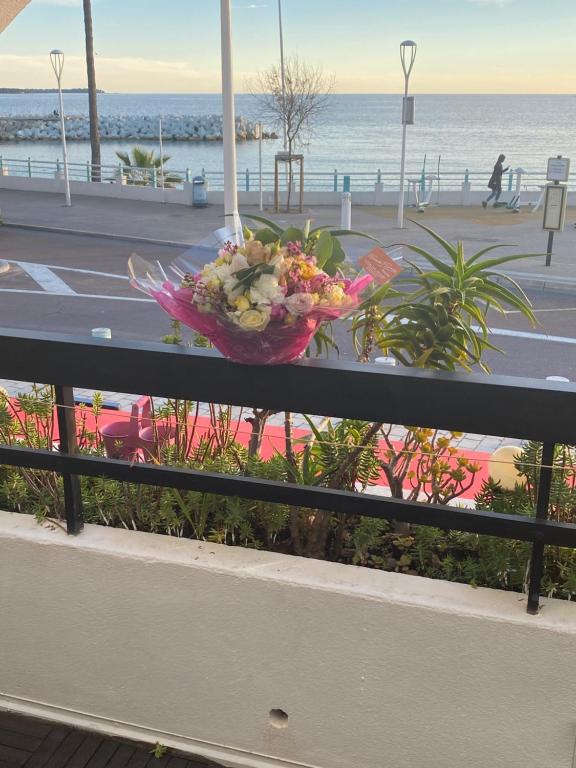 Appartement Front de mer à Cannes -Vue Mer & Terrasse - 2
