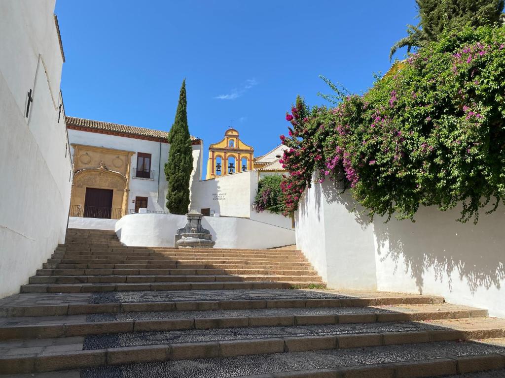 SUITES DEL MAR y SUITE DE CÓRDOBA - Apartmentos en pleno centro - 3