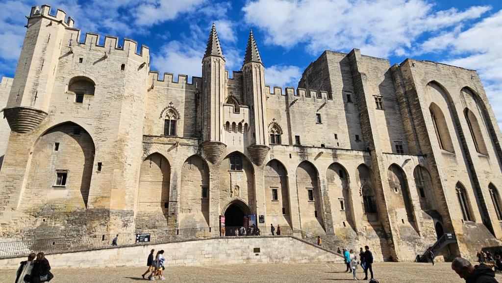 Petit Palais: Palais des Papes - 2