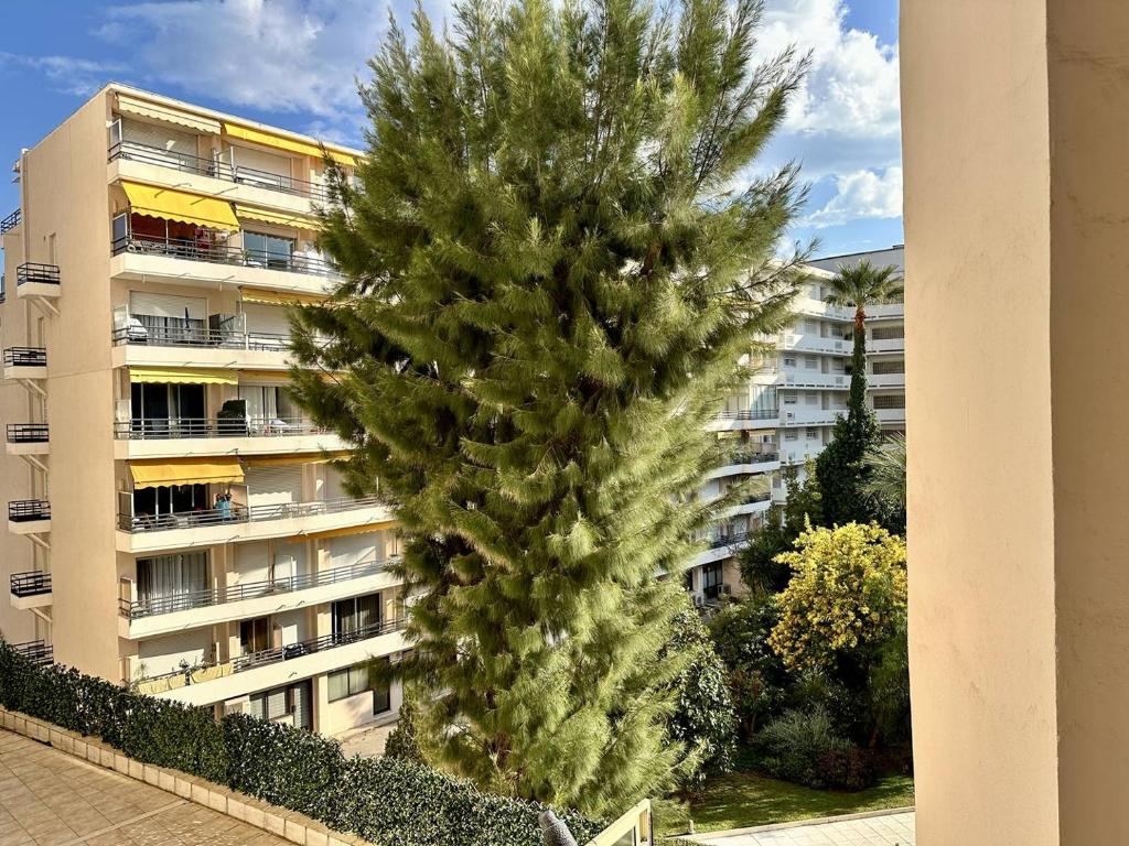 Cannes La Croisette - PALAIS MIRAMAR - Studio au calme coté jardin - 4