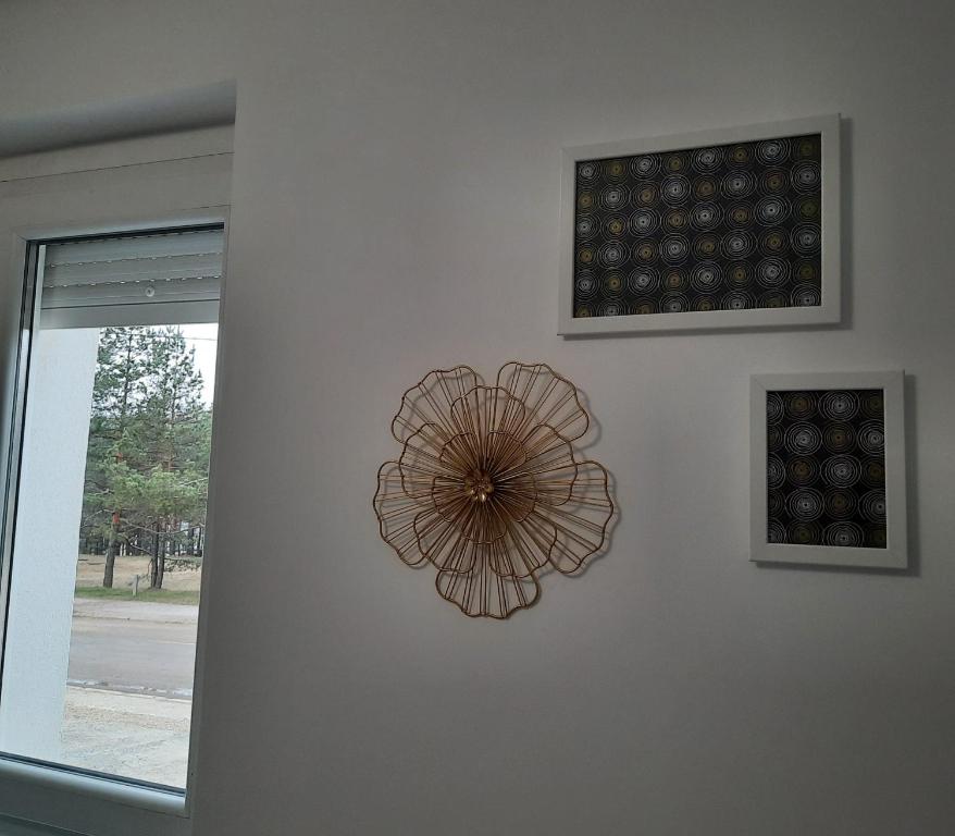 Studio Tara Divčibare - 4