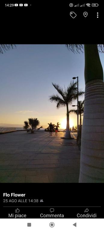 Garden City - 2