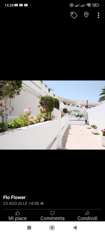 Garden City - 5