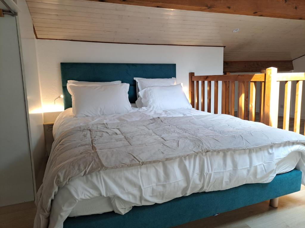 Maisonnette au milieu des pins - 2