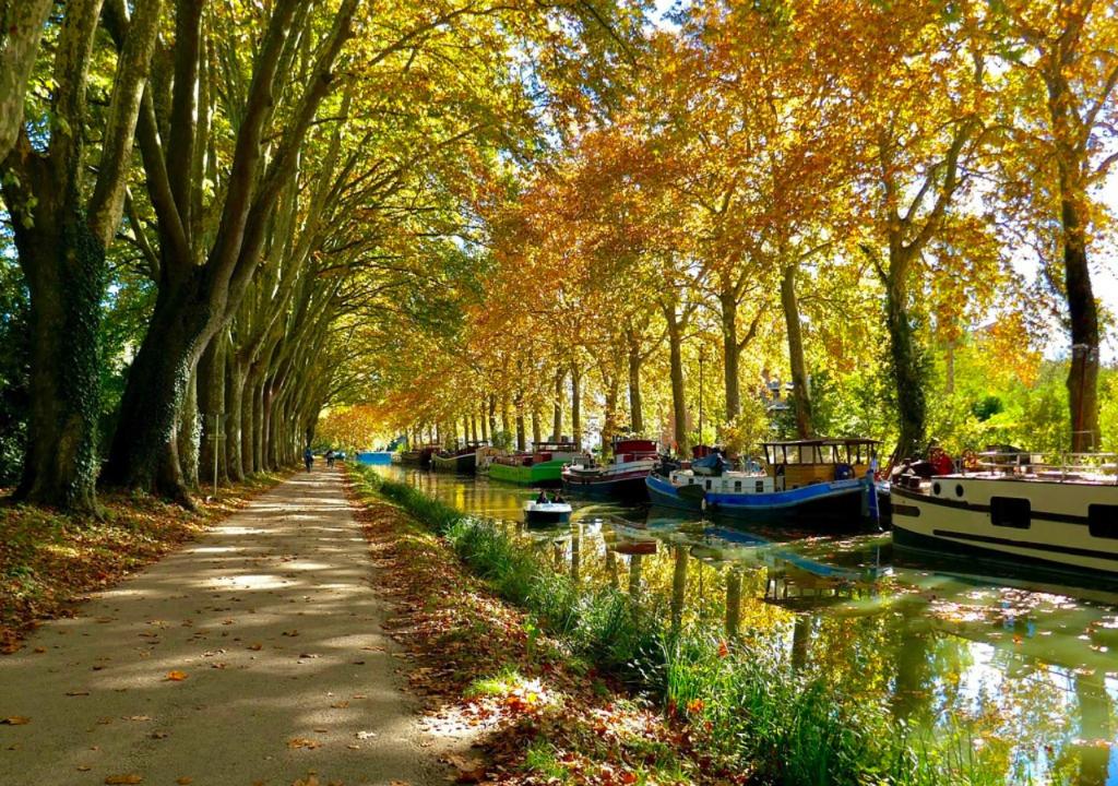 Le Repos du Canal Wifi Parking Piscine Terasse - 4