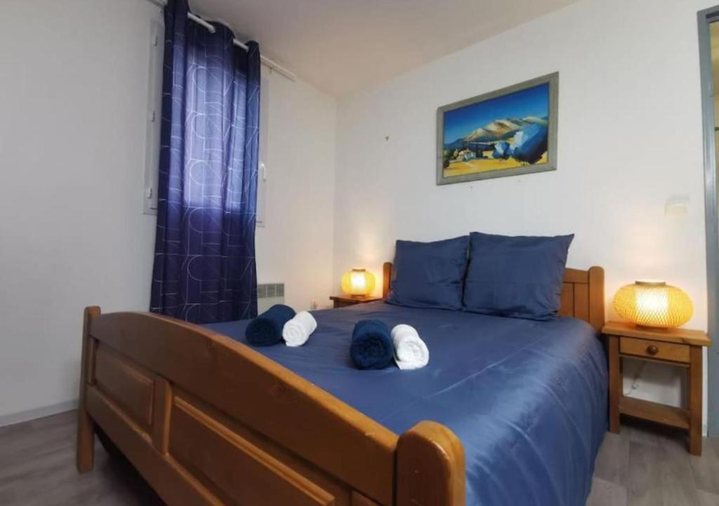 Le Repos du Canal Wifi Parking Piscine Terasse - 2