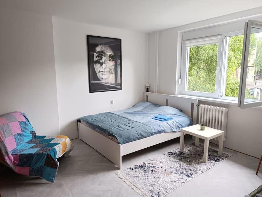 Cozy apartment in Vracar - 1