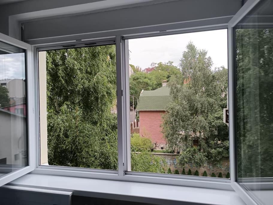 Cozy apartment in Vracar - 2