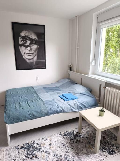 Cozy apartment in Vracar - 5