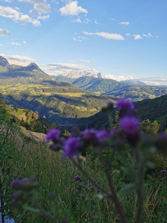 Ferienwohnung Marienkäfer Rückzugsort inmitten der Natur mit Bergblick - 3
