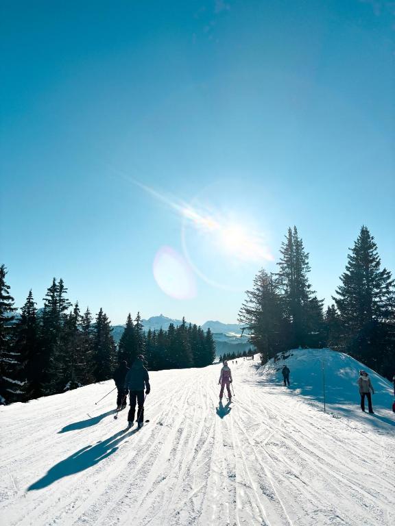 Sports and activities