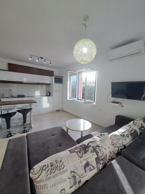 Paunovic Apartments - 3