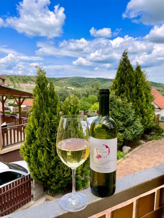 Nad Sklepy, Bořetice