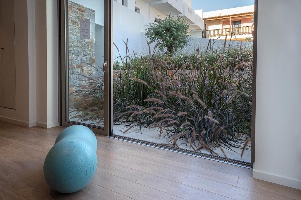 フィットネス/ジム