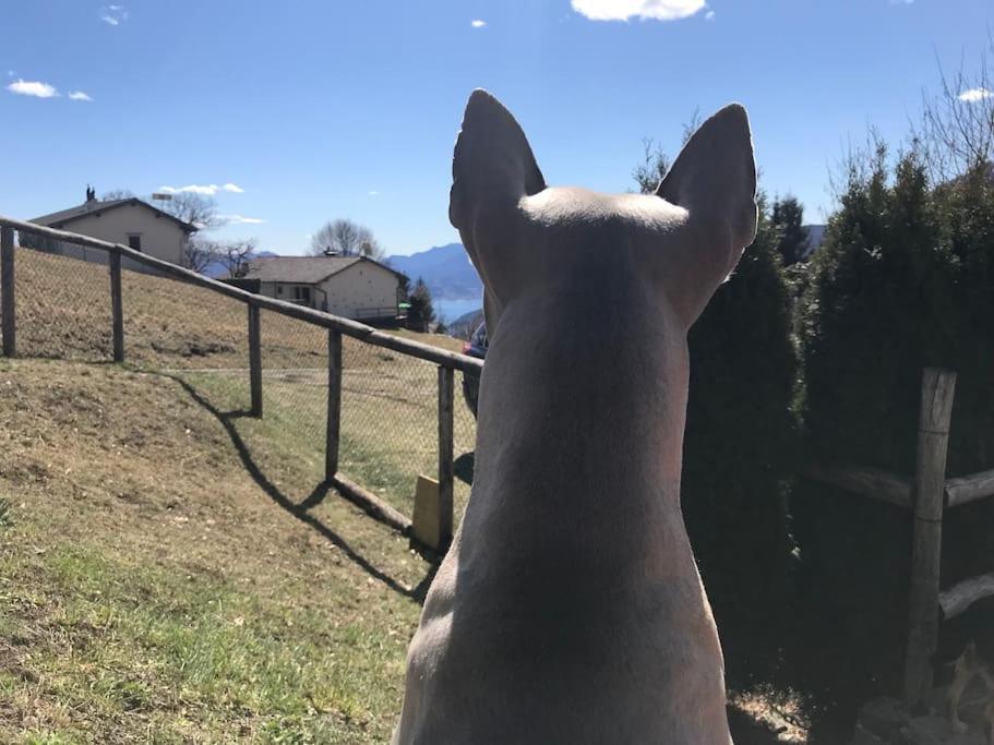 Rustico sopra Brissago, Brissago