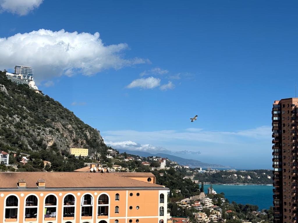 Vue Mer à Proximité de Monaco - 5