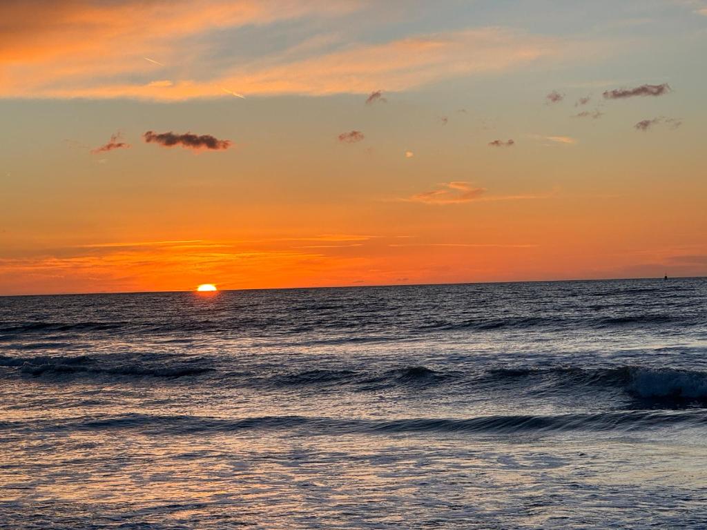 C the C - Oostende, Ostende