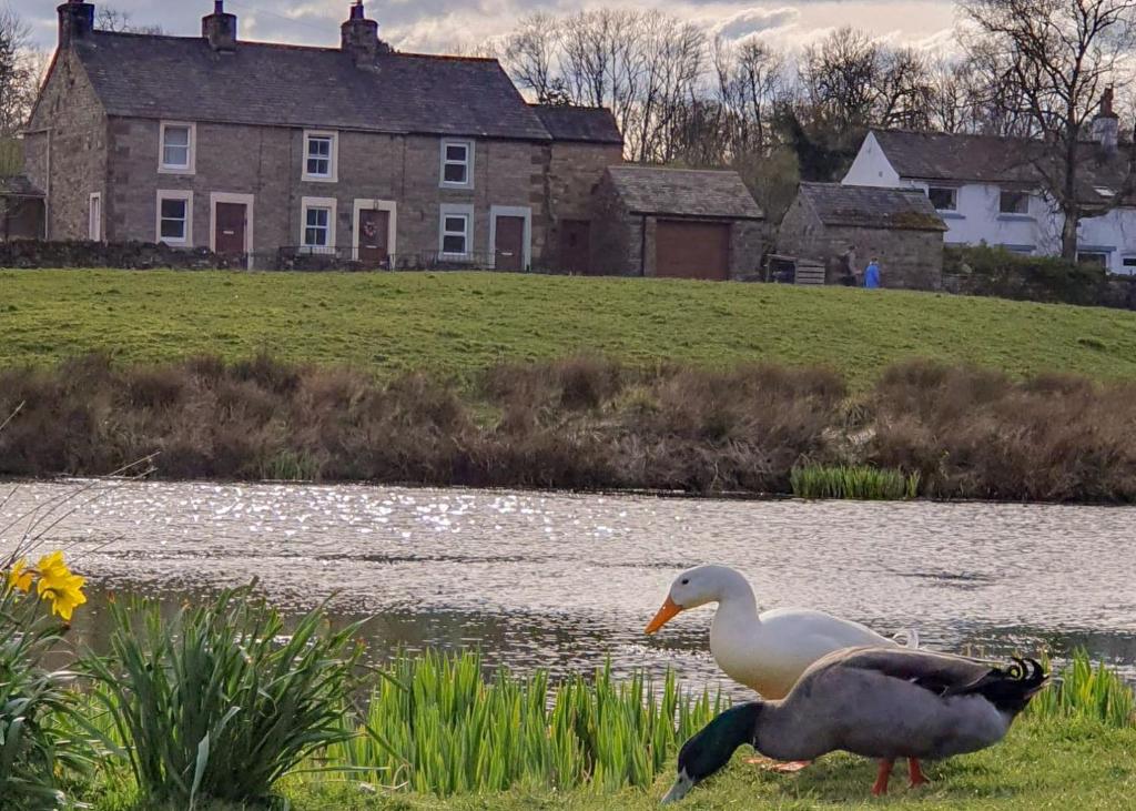 Greenside Cottage Caldbeck