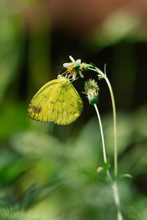 Surrounding environment