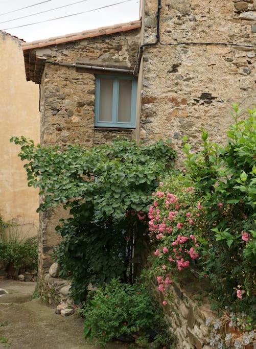 Une tiny house dans le coeur d'un ancien village., Roquebrun