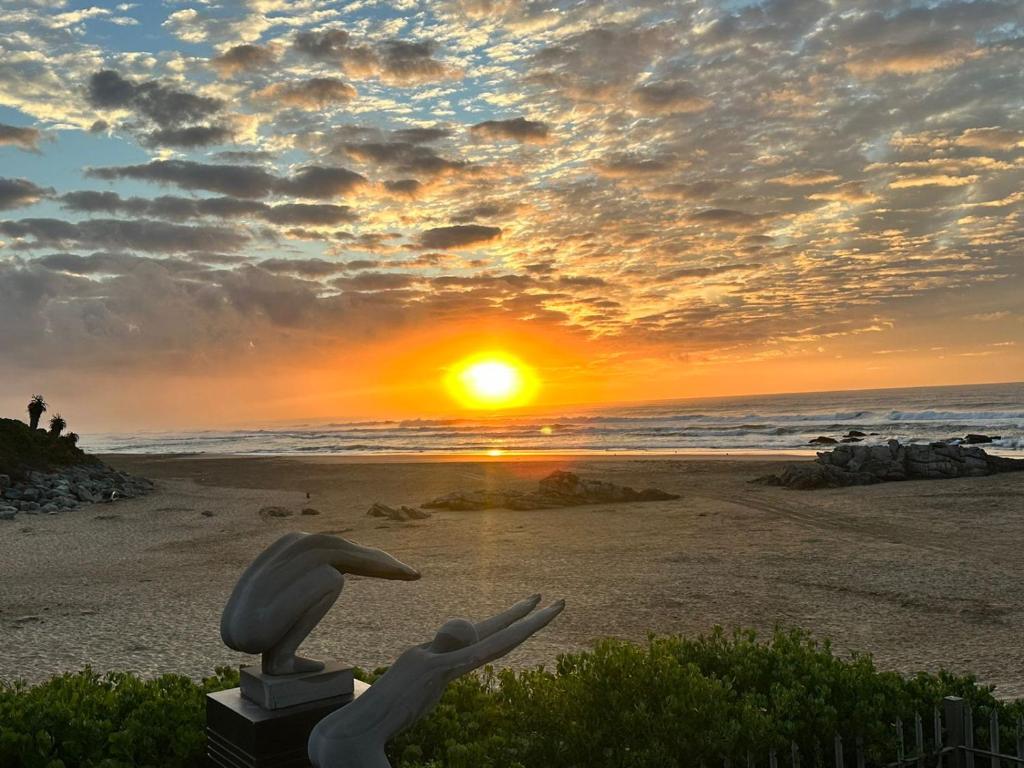 Beachfront Bliss, Wilderness