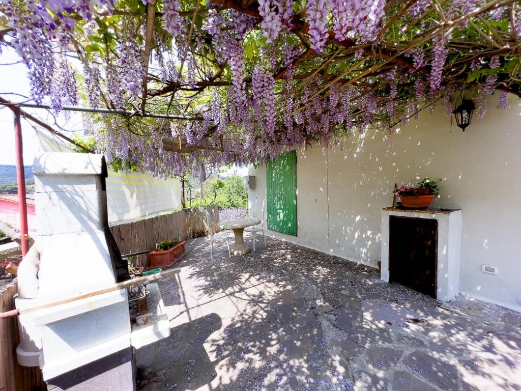 Chez Choucas Maison e Maisonette - Goelba - 3