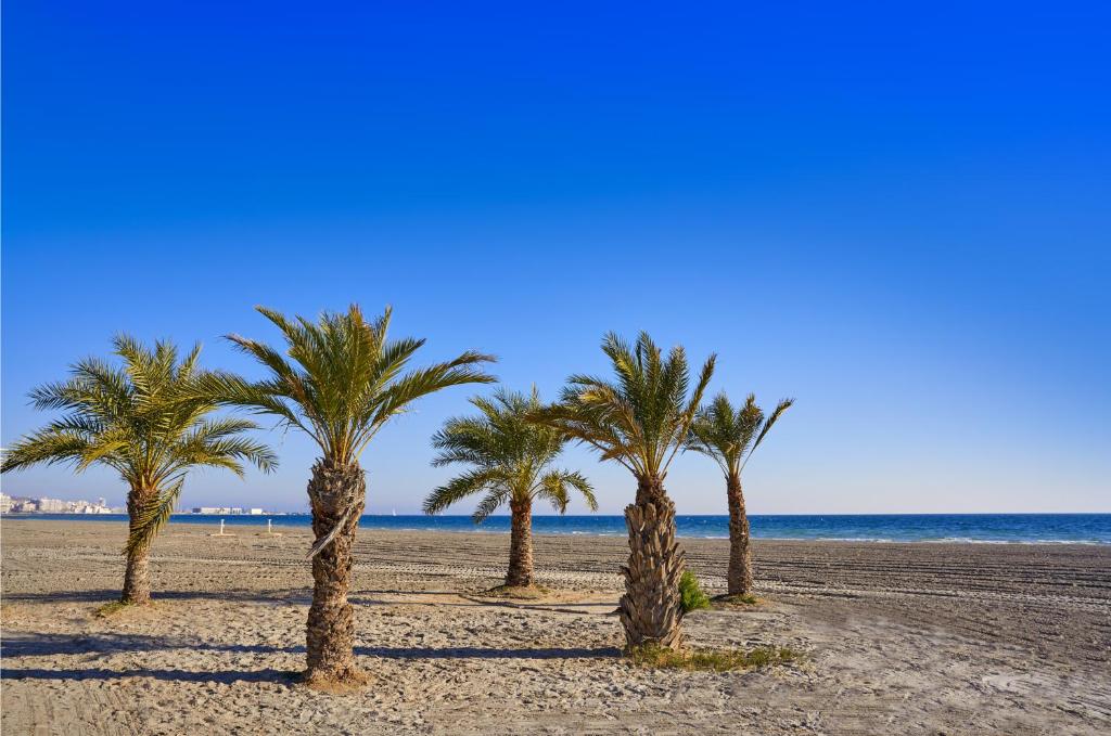 Costa Blanca Holiday Rental Tamarit Beach I - 1