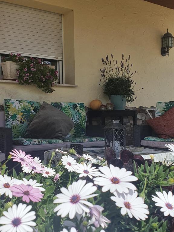 Casa Roseta, Deltebre