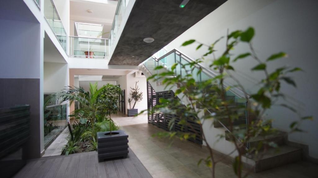 Geams Sal Suite, Santa Maria