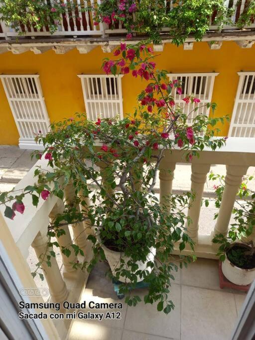 Apartamento junto al Mar en Centro Histórico . - 5